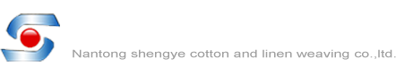 國(guó)海軟件